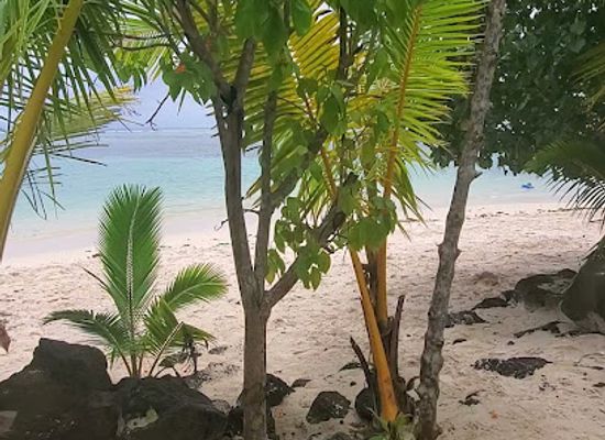 samoa/piula-cave-pool/attraction/lovine-beach-fales