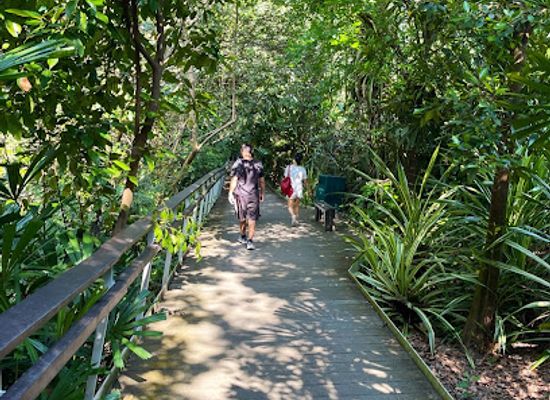 singapore/labrador-nature-reserve/attraction/berlayer-creek