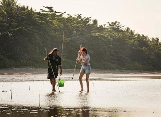 australia/port-douglas/attraction/kuku-yalanji-cultural-habitat-tours