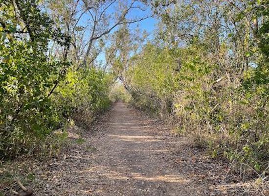 florida/everglades/attraction/snake-bight-trail