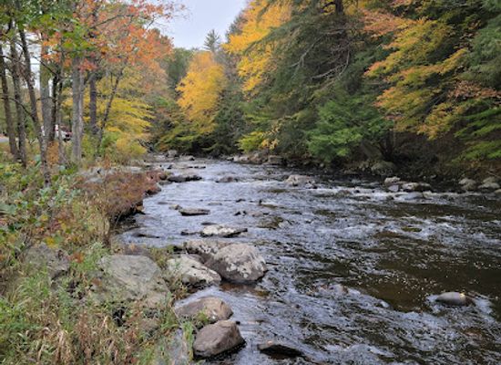 massachusetts/berkshires/attraction/tolland-state-forest