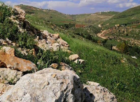 jordan/balqa-highlands/attraction/mzr-jml-lhdydy