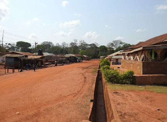 ghana/kwahu/attraction/boabeng-fiema-monkey-sanctuary