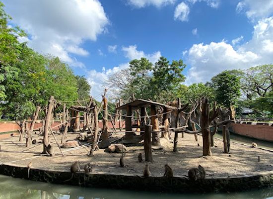 indonesia/surabaya/attraction/surabaya-zoo