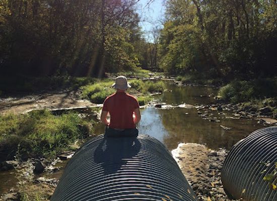 illinois/rock-river-valley/attraction/jubilee-college-state-park