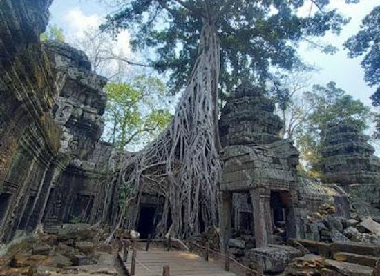 cambodia/siem-reap-province/attraction/angkor-camboja-tour