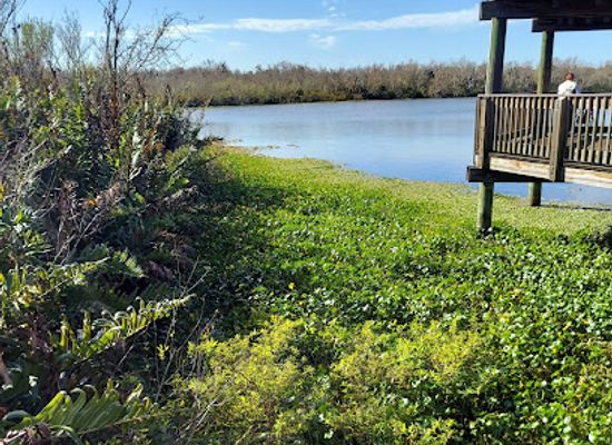 florida/treasure-coast/attraction/sawgrass-lake-park