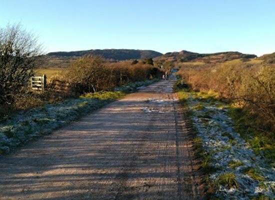 united-kingdom/wigtownshire/attraction/rspb-mersehead