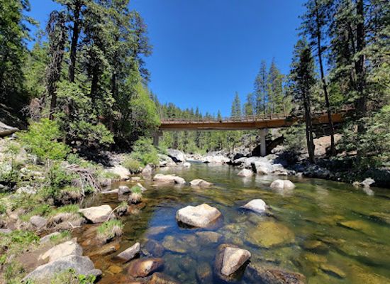 california/gold-country/attraction/calaveras-big-trees-state-park