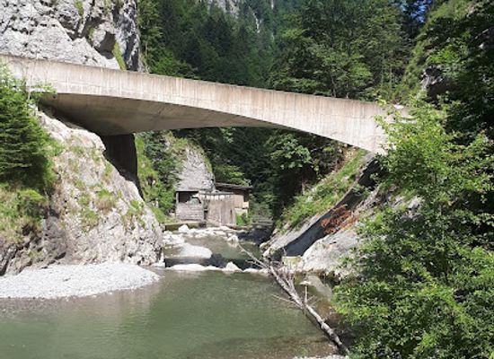 austria/bregenzerwald/attraction/schaufelschlucht-brucke