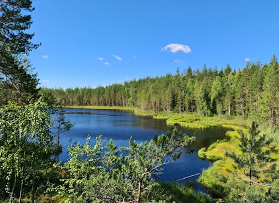 finland/savo/attraction/seinavuori-gorge