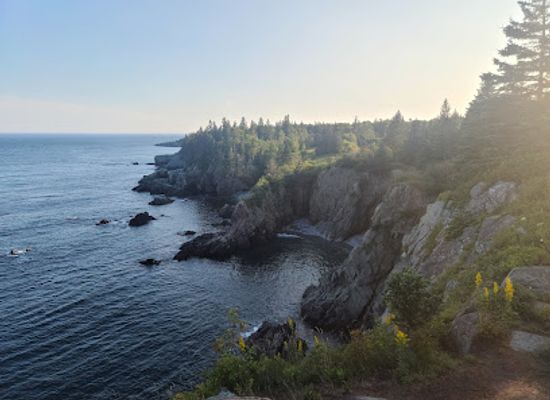 maine/downeast/attraction/cutler-coast-public-reserved-land