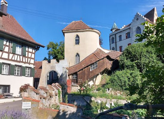switzerland/thurgau/attraction/schloss-salenstein