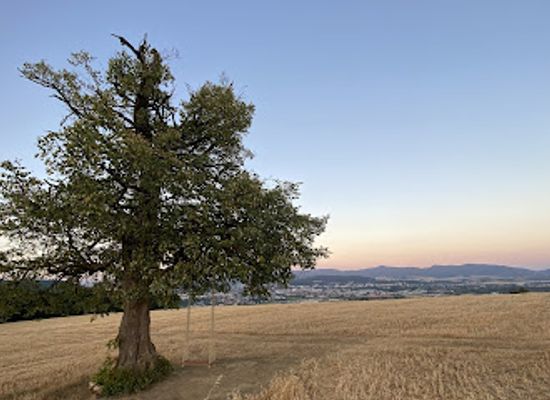 slovakia/trencin-region/attraction/hojdacka-nad-trencinom