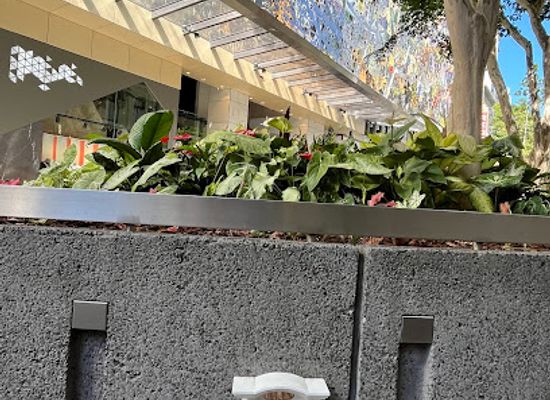 australia/brisbane/attraction/hidden-fairy-door