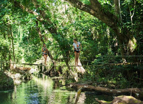 vanuatu/torres-islands/attraction/eden-on-the-river