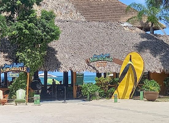 jamaica/montego-bay/attraction/nicenesstransfers-tours