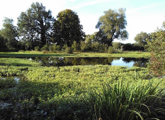 belgium/flemish-brabant/attraction/ravesteinpark