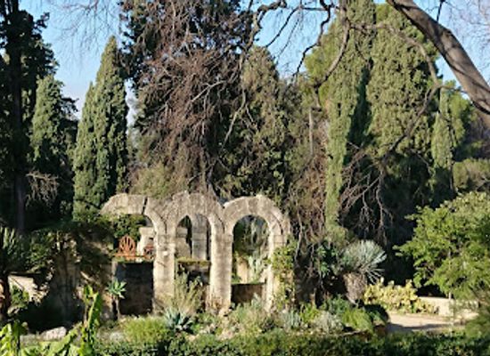 france/montpellier/ecusson/attraction/jardin-des-plantes-de-montpellier
