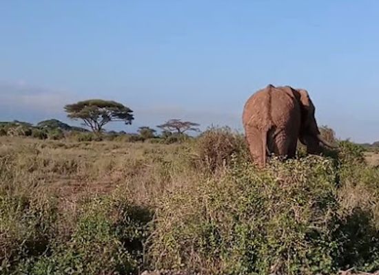 kenya/lake-bogoria/attraction/the-sinende-relatives-conservancy