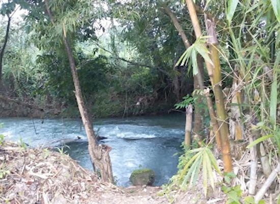jamaica/savanna-la-mar/attraction/cabarita-river-adventure-mesopotamia-leisure-farm