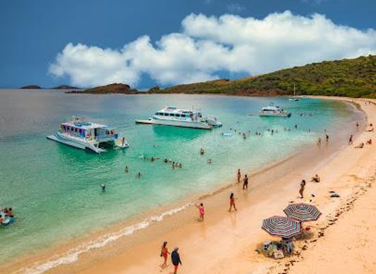 puerto-rico/vieques/attraction/east-island-excursions