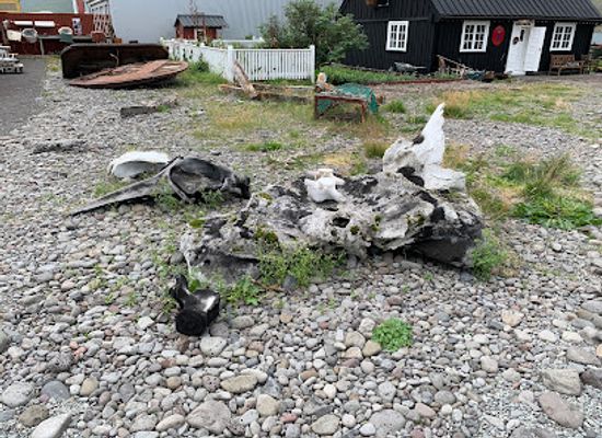 iceland/isafjordur/attraction/whale-bones
