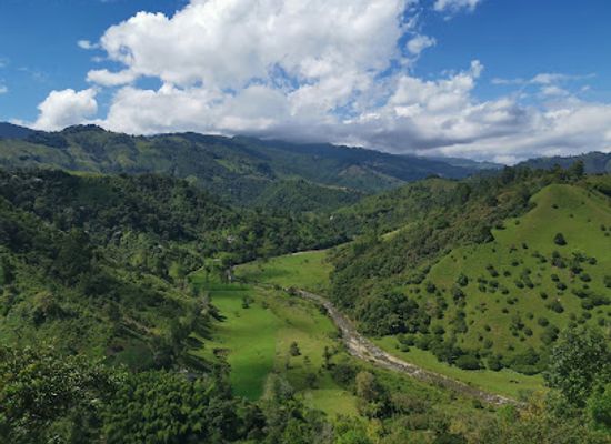 colombia/risaralda-department/attraction/finca-el-mirador-montanero