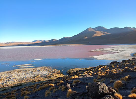 bolivia/chaco-plain/attraction/reserva-nacional-de-fauna-andina-eduardo-avaroa