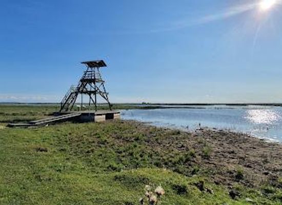 latvia/talsi/attraction/nature-park-lake-engure