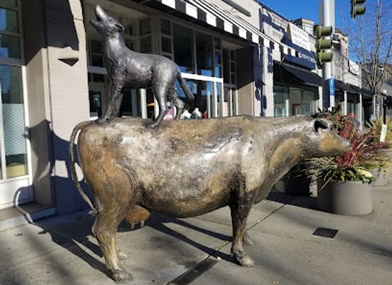 washington/kirkland/attraction/cow-and-coyote-statue