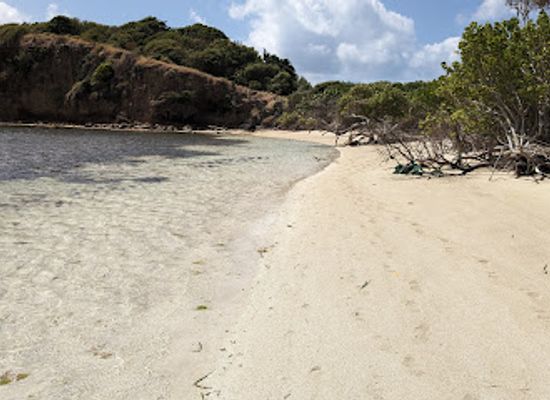 grenada/saint-andrew/attraction/egmont-beach