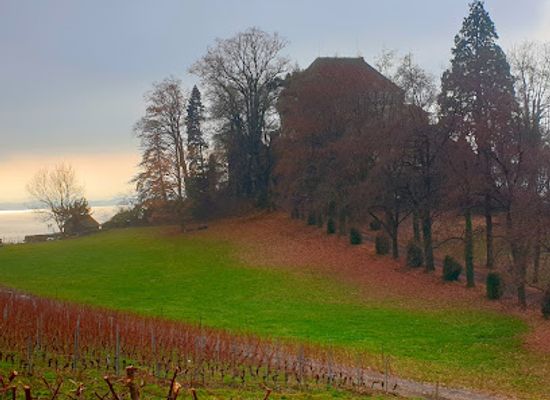 switzerland/montreux/attraction/cour-du-chateau-du-chatelard