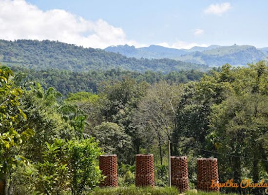 sri-lanka/matale-district/attraction/national-spice-garden-of-sri-lanka
