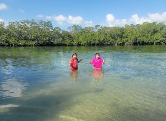 florida/islamorada/attraction/library-beach-park