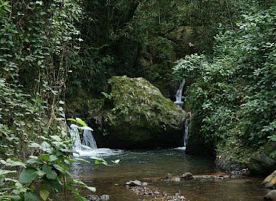 puerto-rico/caribbean-national-forest/attraction/monte-choca-state-park