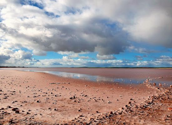 australia/north-east-south-australia/attraction/lake-bumbunga-view-access