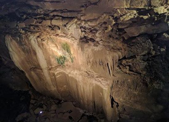 ireland/galway/attraction/aillwee-burren-experience