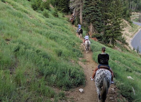 utah/deer-valley/attraction/boulder-mountain-ranch-at-deer-valley