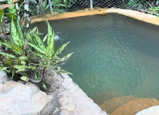 saint-lucia/marigot-bay/attraction/new-jerusalem-mineral-baths