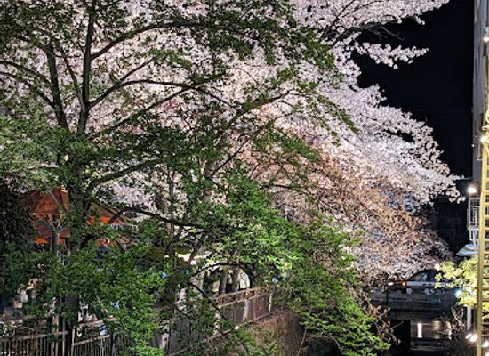 japan/kyoto/higashiyama/attraction/shirakawa-lane