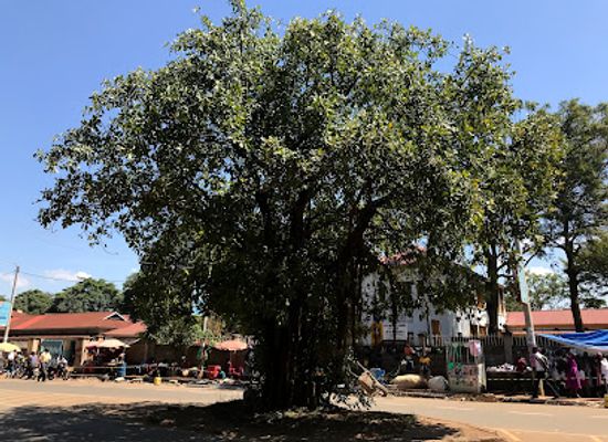 kenya/kisumu/attraction/walter-edwin-owen-memorial-park