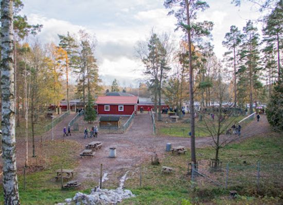 sweden/norrbotten/attraction/tibro-minizoo