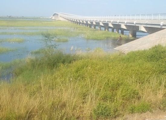 zambia/barotseland/attraction/barotse-flood-plain