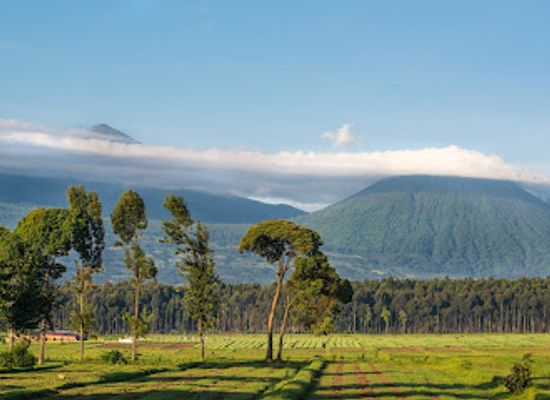 rwanda/muhazi-lake/attraction/more-travels-rwanda