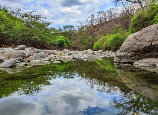 peru/tumbes/attraction/reserva-nacional-de-tumbes