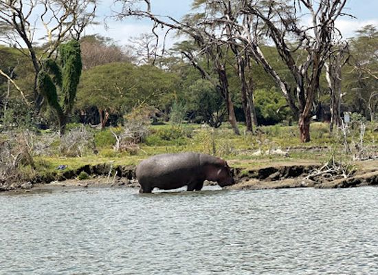 kenya/aberdare-range/attraction/shang-chuan-dian