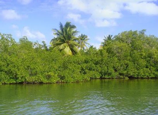 dominican-republic/higuey-region/attraction/parque-nacional-del-este