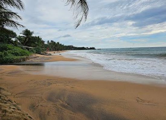 sri-lanka/kalutara-district/attraction/induruwa-sea-turtle-conservation-center