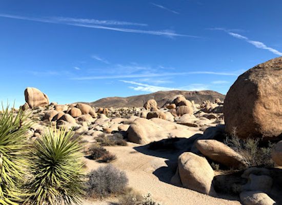 california/joshua-tree-national-park/attraction/arch-rock